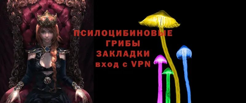 купить   Тырныауз  Псилоцибиновые грибы Magic Shrooms 